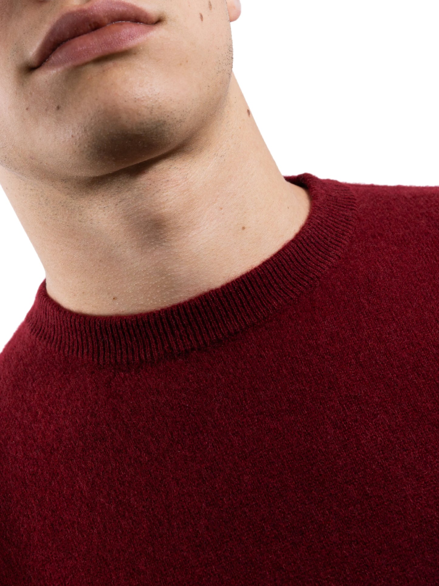 Antenore Bordeaux Crewneck