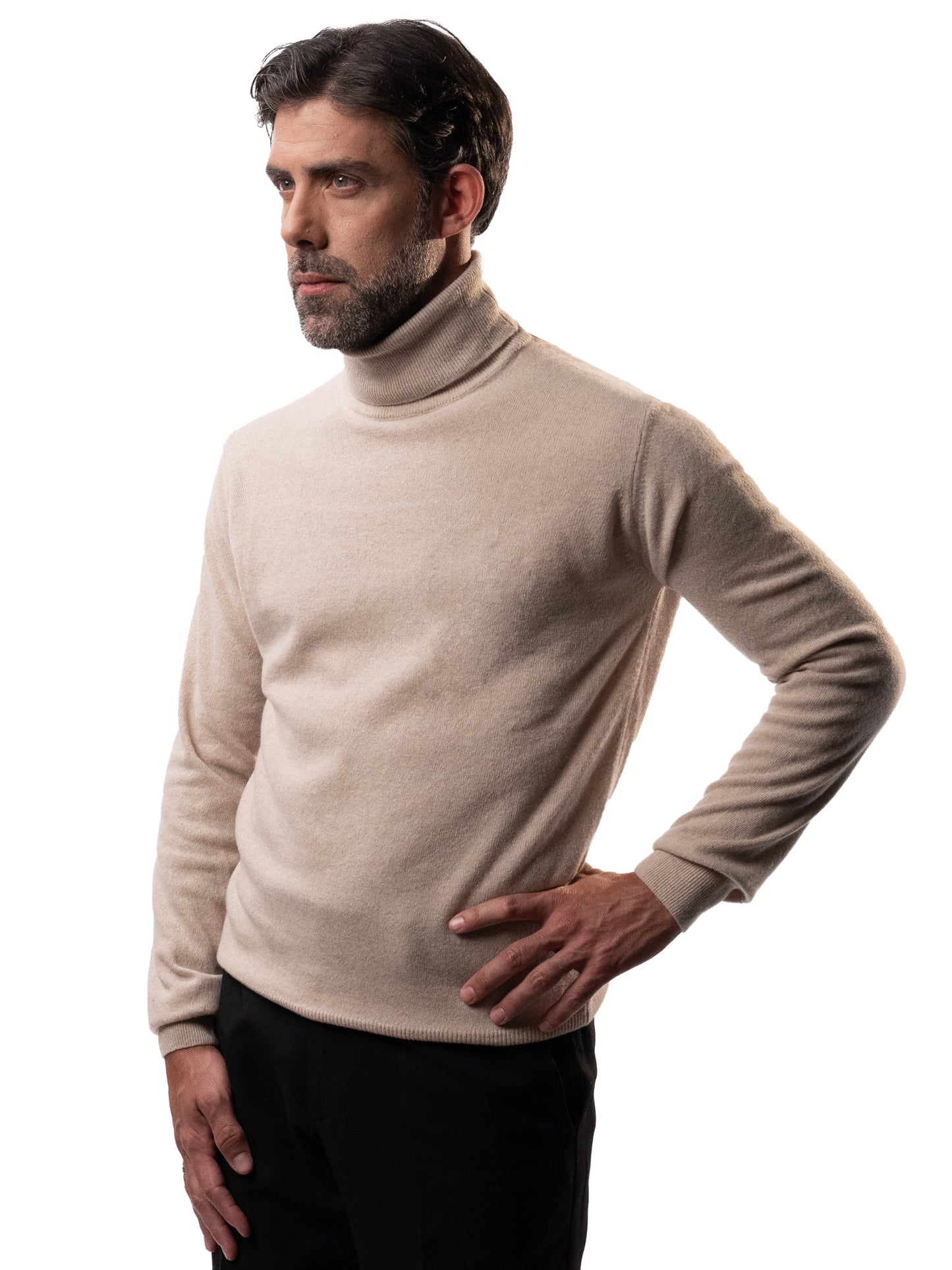 Alexander Beige Turtleneck