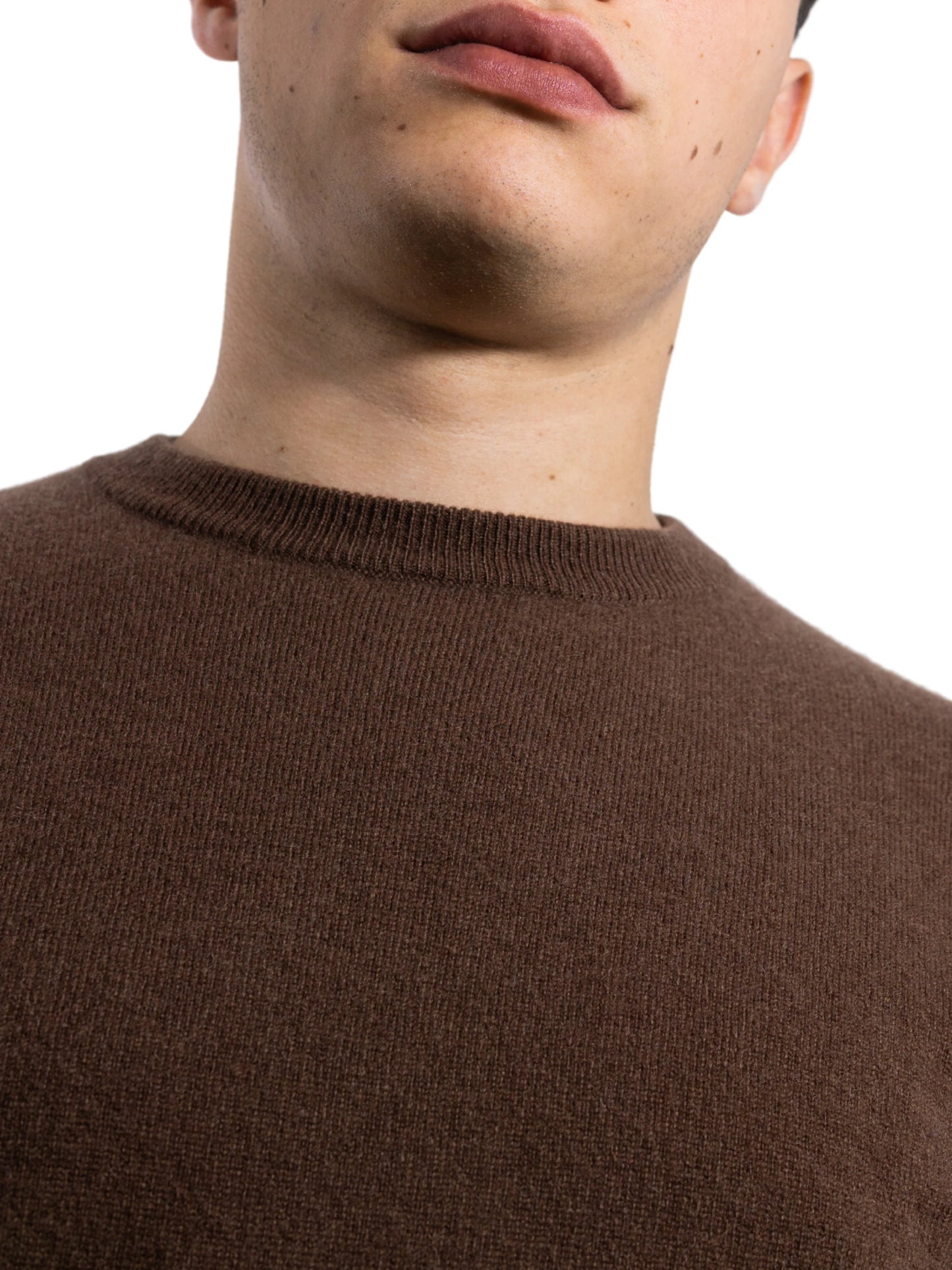 Girocollo Antenore Corteccia