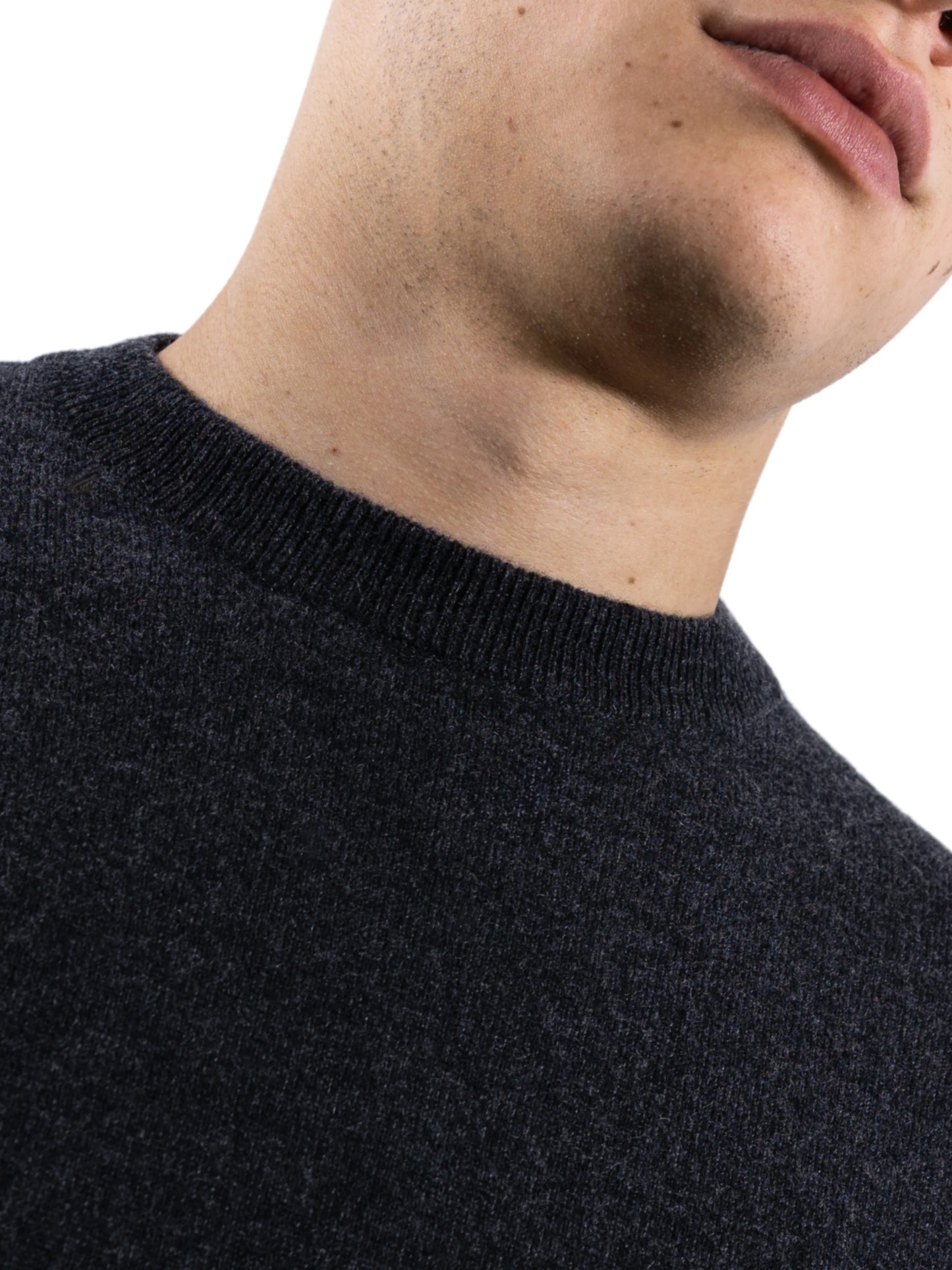 Antenore Ash Crewneck 